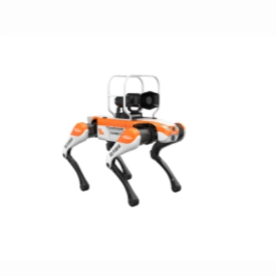 観光地巡回四足歩行ロボット犬